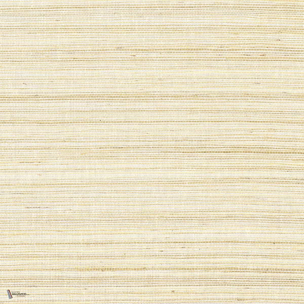 Picta wallpaper in Ecru by Casamance
