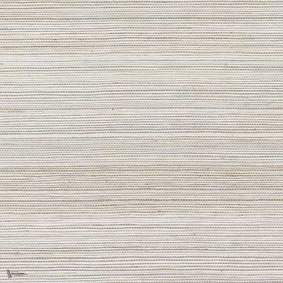 Picta wallpaper in Gris Clair by Casamance