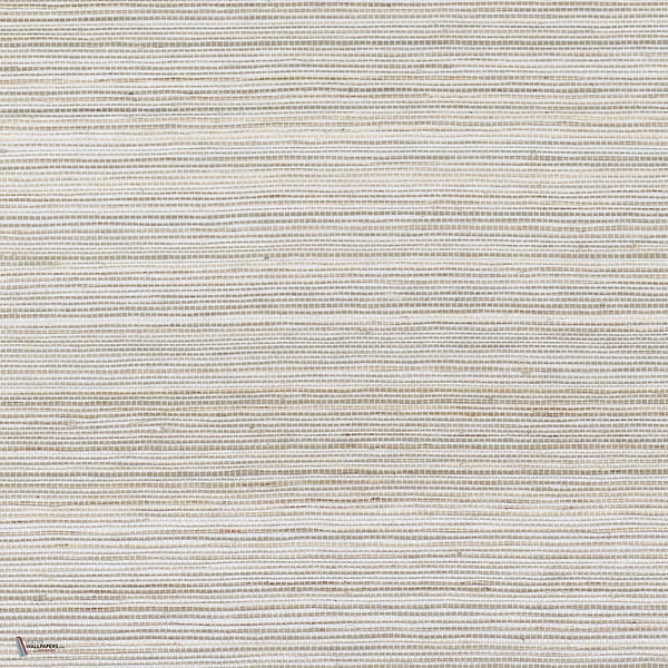 Picta wallpaper in Gris Clair by Casamance