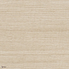 Picta wallpaper in Ivoire Argent by Casamance