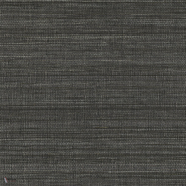 Picta wallpaper in Noir/Acier by Casamance