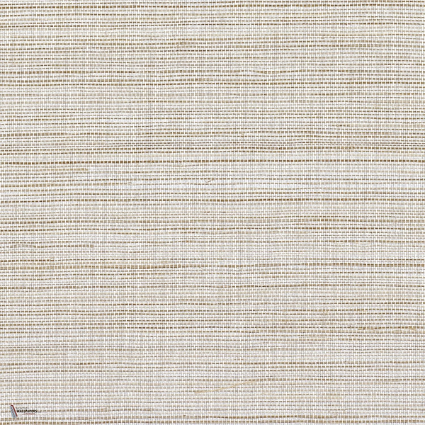 Picta wallpaper in Sable by Casamance