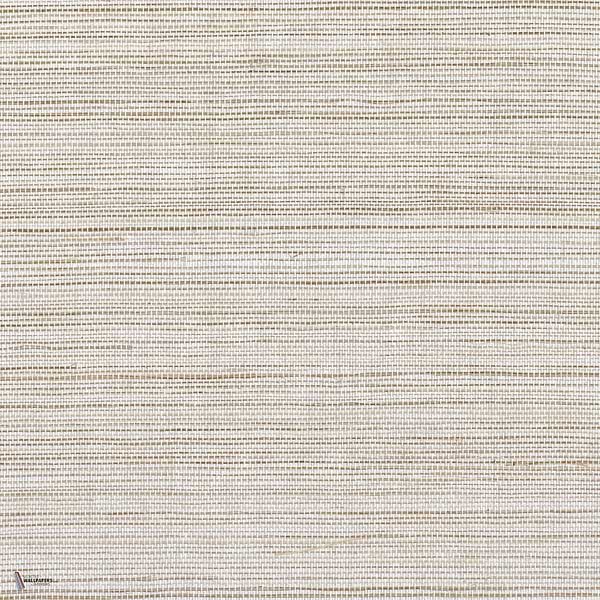 Picta wallpaper in Sable by Casamance