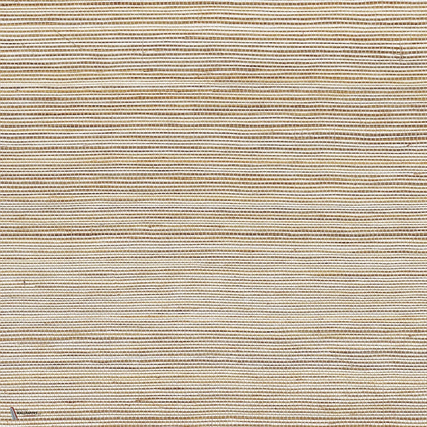 Picta wallpaper in Taupe by Casamance