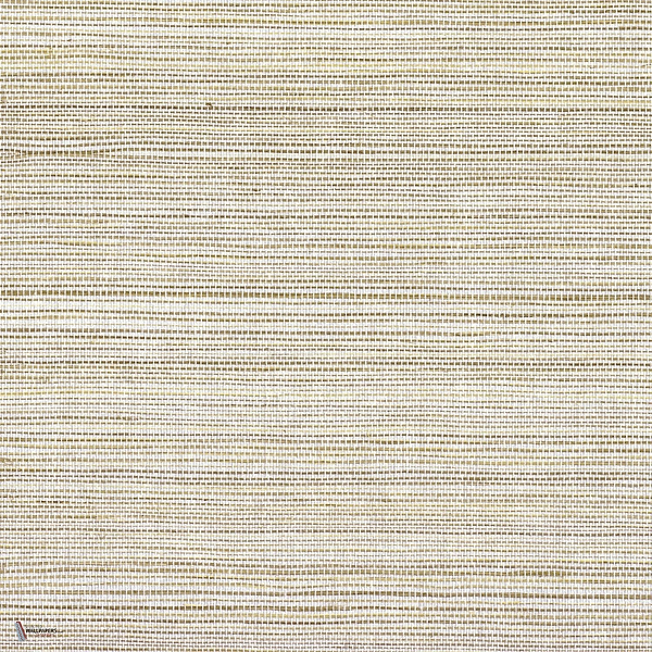 Picta wallpaper in Terre Argent by Casamance