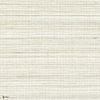 Picta wallpaper in Tourterelle by Casamance