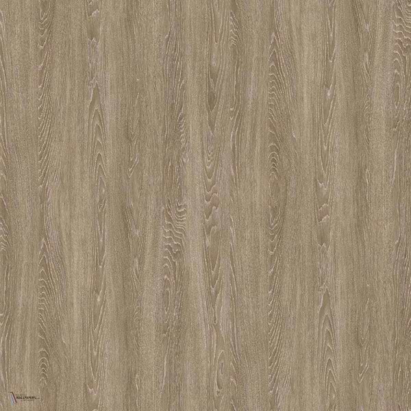Chene Grise Tapete in Grand Beige van Nobilis