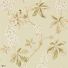 Chestnut Tree wallpaper in Coral/Bayleaf van Sanderson