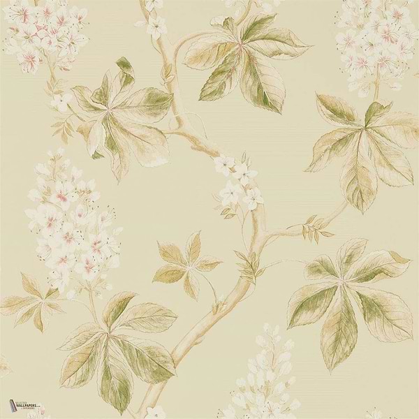 Chestnut Tree wallpaper in Coral/Bayleaf van Sanderson