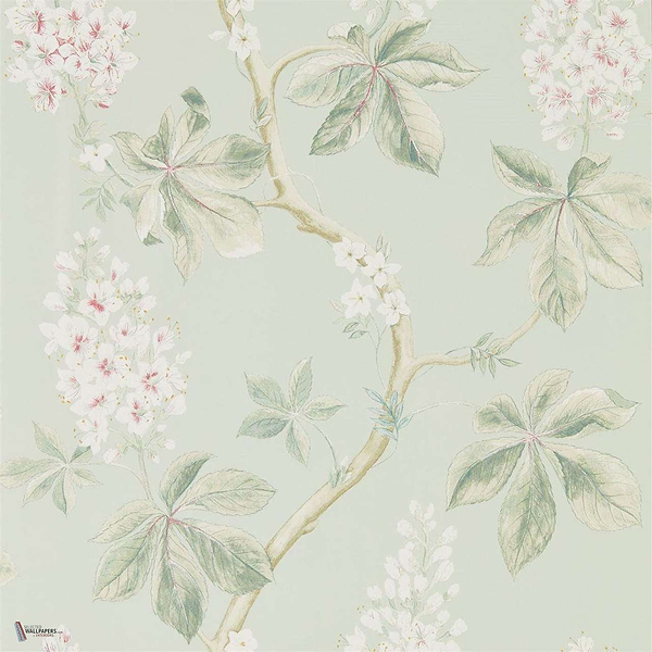 Chestnut Tree wallpaper in Seaspray/Peony van Sanderson