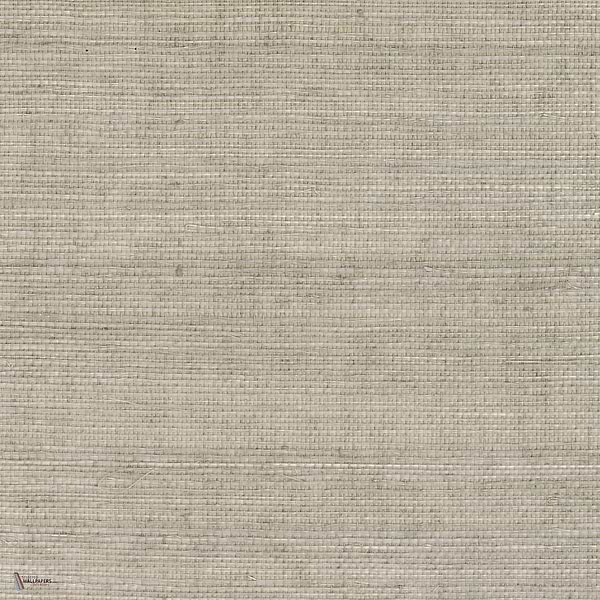 Sisal wallpaper in Beige by CMO Paris