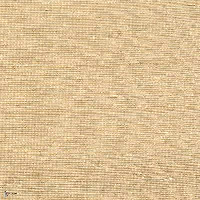 Sisal wallpaper in Blond by CMO Paris