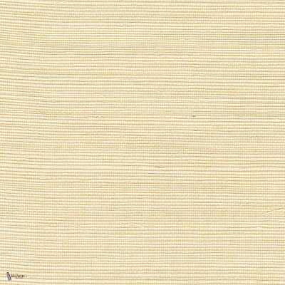 Sisal wallpaper in Ecru by CMO Paris
