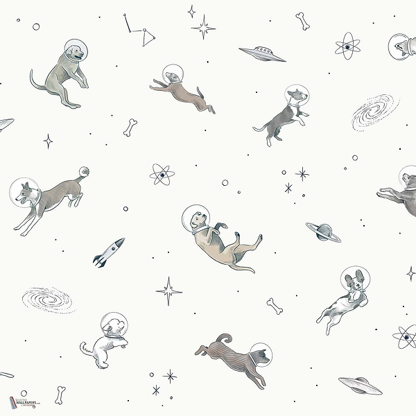 Doggy Gravity wallpaper in Light by Coordonne