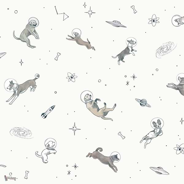 Doggy Gravity wallpaper in Light by Coordonne