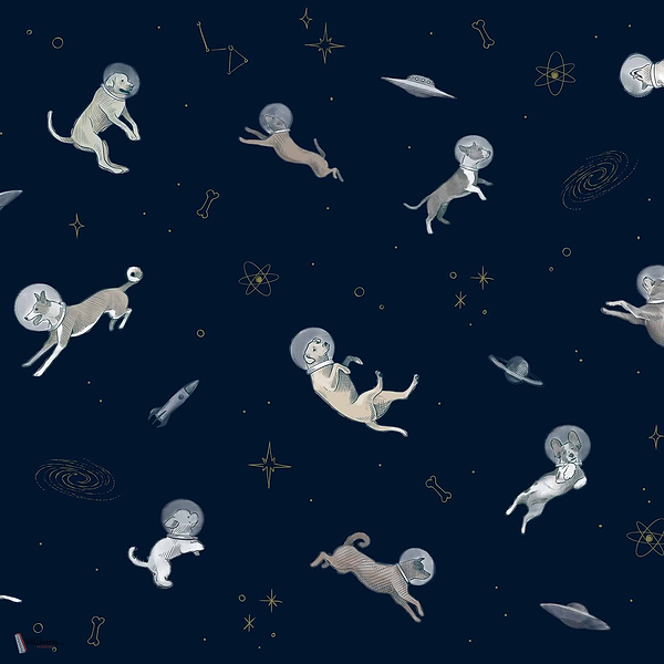 Doggy Gravity wallpaper in Night by Coordonne