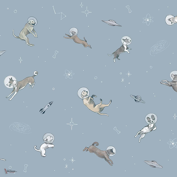 Doggy Gravity wallpaper in Sky by Coordonne