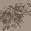 Giant Peonies wallpaper in Cacao by Coordonne