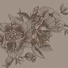 Giant Peonies wallpaper in Cacao by Coordonne