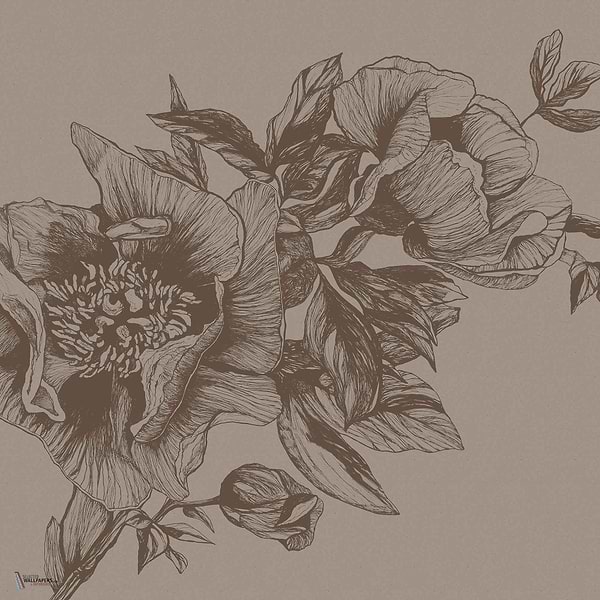 Giant Peonies wallpaper in Cacao by Coordonne