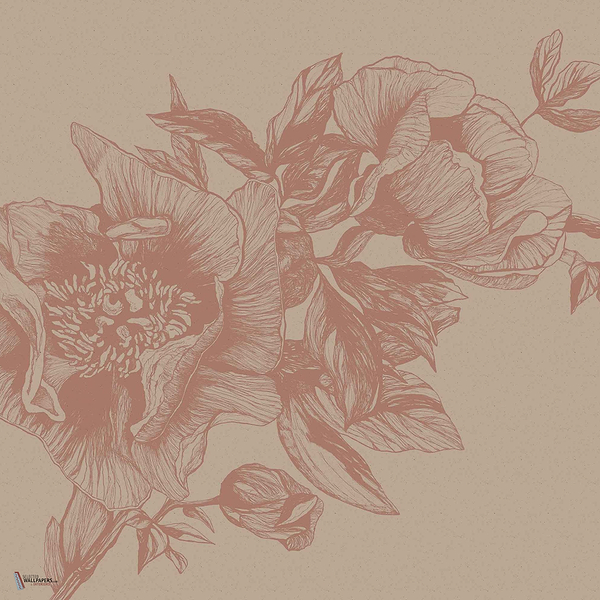 Giant Peonies wallpaper in Nude by Coordonne