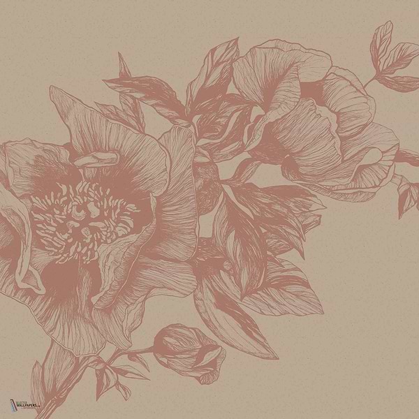 Giant Peonies wallpaper in Nude by Coordonne