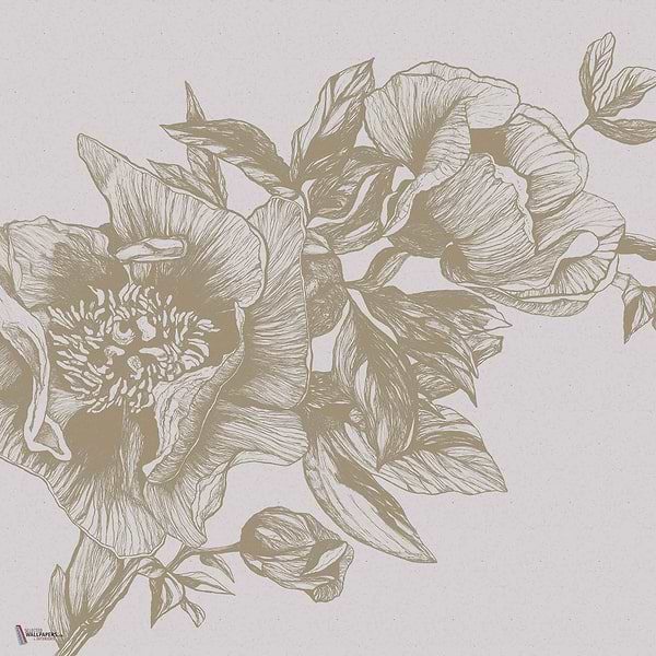 Giant Peonies wallpaper in Papirus by Coordonne