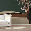 Great Deer wallpaper in Green by Coordonne — interior