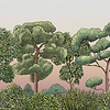 Green Forest wallpaper in Dawn by Coordonne