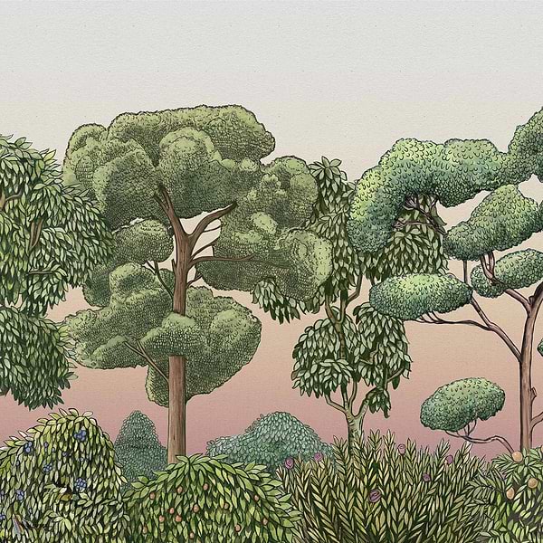 Green Forest wallpaper in Dawn by Coordonne