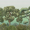 Green Forest wallpaper in Dew by Coordonne