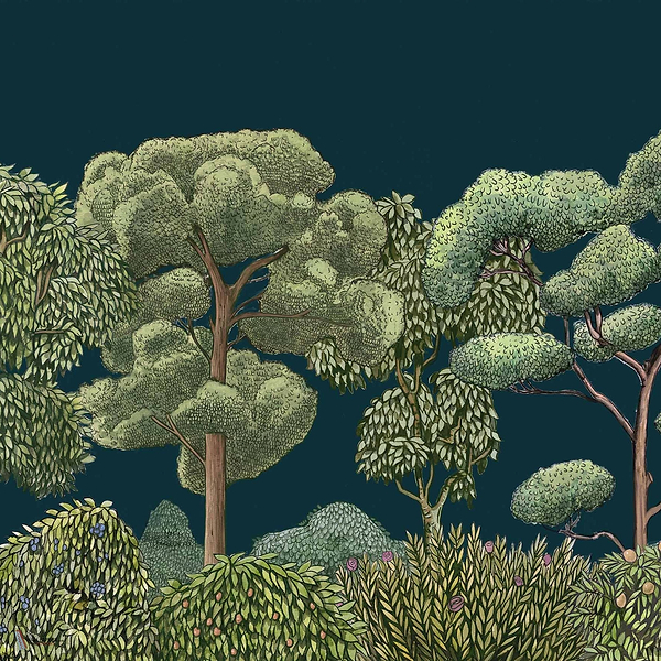 Green Forest wallpaper in Midnight by Coordonne