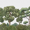 Green Forest wallpaper in Natural by Coordonne