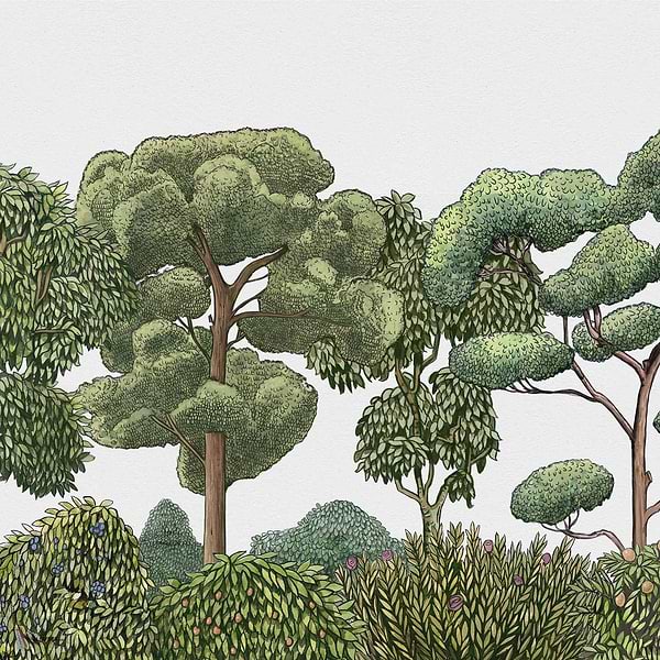 Green Forest wallpaper in Natural by Coordonne