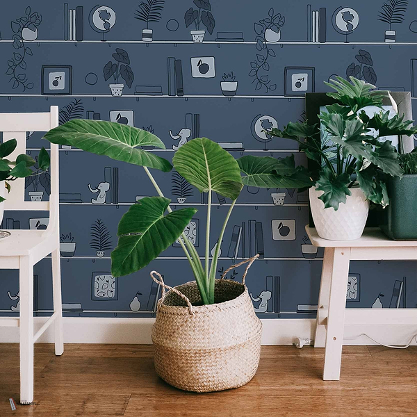 My Library wallpaper in Aqua by Coordonne