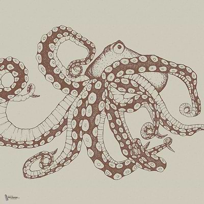 Octopus X-Ray wallpaper in Papirus by Coordonne