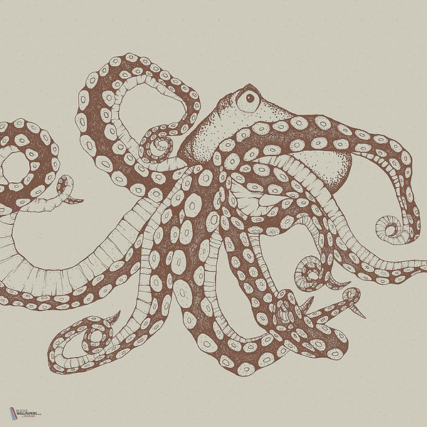 Octopus X-Ray wallpaper in Papirus by Coordonne