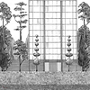 Pascua Ortega - Urban Garden wallpaper in Black & White by Coordonne