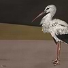 Stork Mother wallpaper in Black by Coordonne