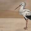 Stork Mother wallpaper in Nude by Coordonne