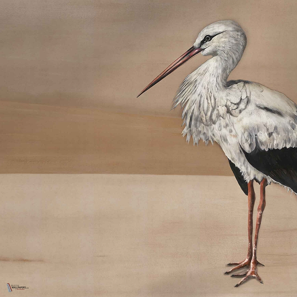 Stork Mother wallpaper in Nude by Coordonne