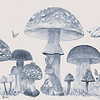 Sweet Forest wallpaper in Azure by Coordonne