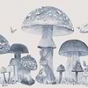 Sweet Forest wallpaper in Azure by Coordonne