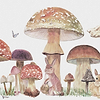 Sweet Forest wallpaper in Peach by Coordonne