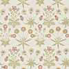 Daisy Tapete in Coral/Manilla van Morris & Co
