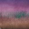 Fall Tapete in Multi Purple van Texam
