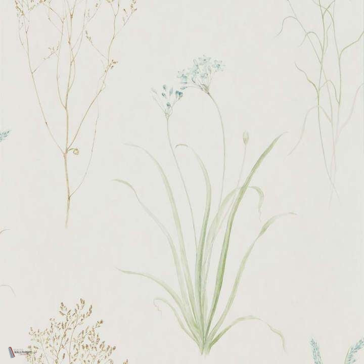 Farne Grasses Tapete in Cream/Sage van Sanderson
