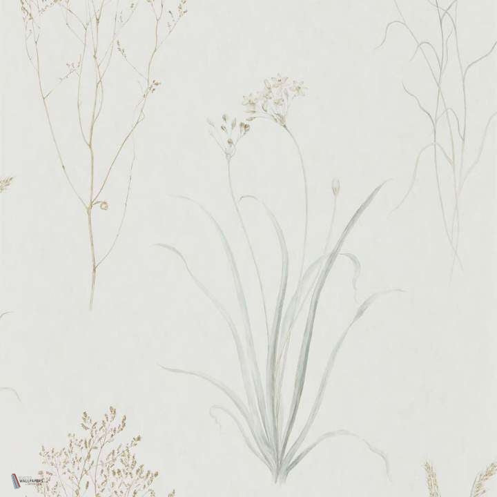 Farne Grasses Tapete in Silver/Ivory van Sanderson