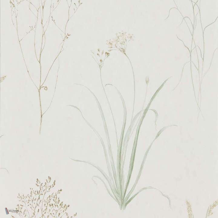 Farne Grasses Tapete in Willow/Pebble van Sanderson