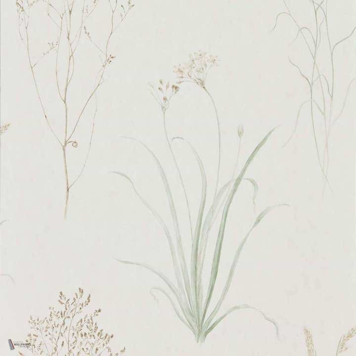 Farne Grasses Tapete in Willow/Pebble van Sanderson